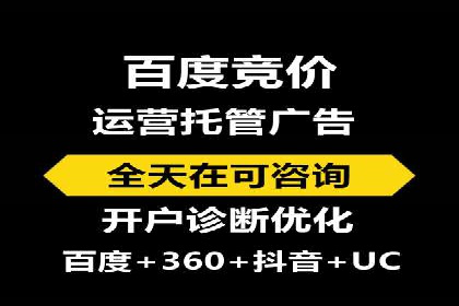 揭秘成功之道：竞价推广公司经典案例分享